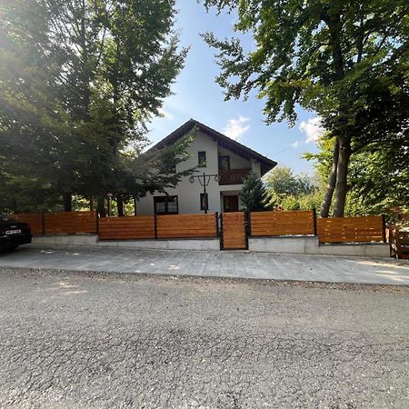 Casa De Vacanta Mogosa Baia Sprie Zewnętrze zdjęcie