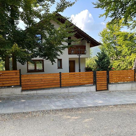 Casa De Vacanta Mogosa Baia Sprie Zewnętrze zdjęcie