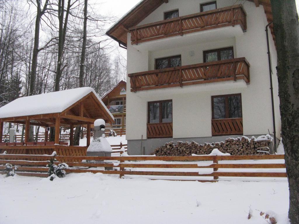 Casa De Vacanta Mogosa Baia Sprie Pokój zdjęcie