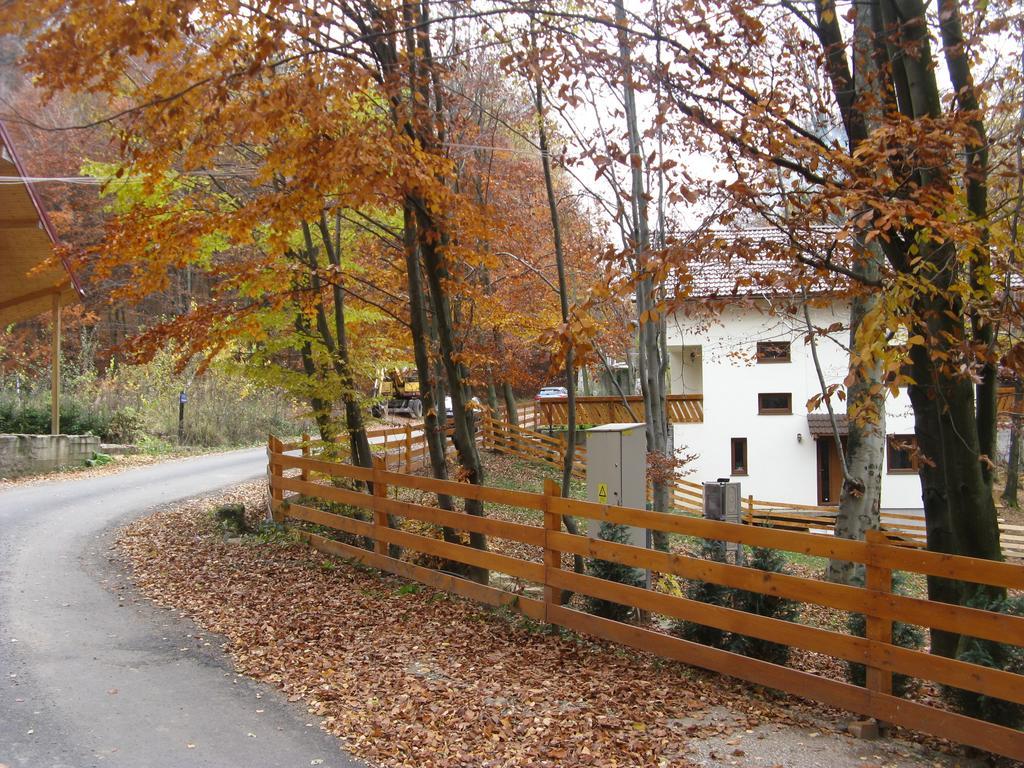 Casa De Vacanta Mogosa Baia Sprie Zewnętrze zdjęcie