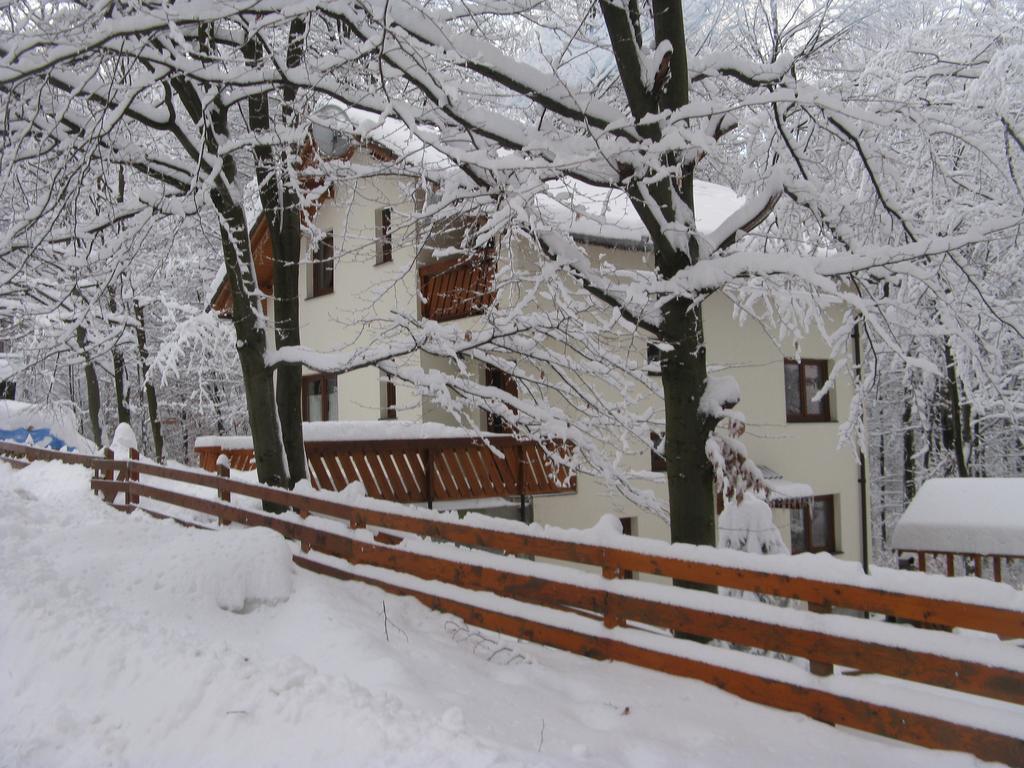 Casa De Vacanta Mogosa Baia Sprie Zewnętrze zdjęcie