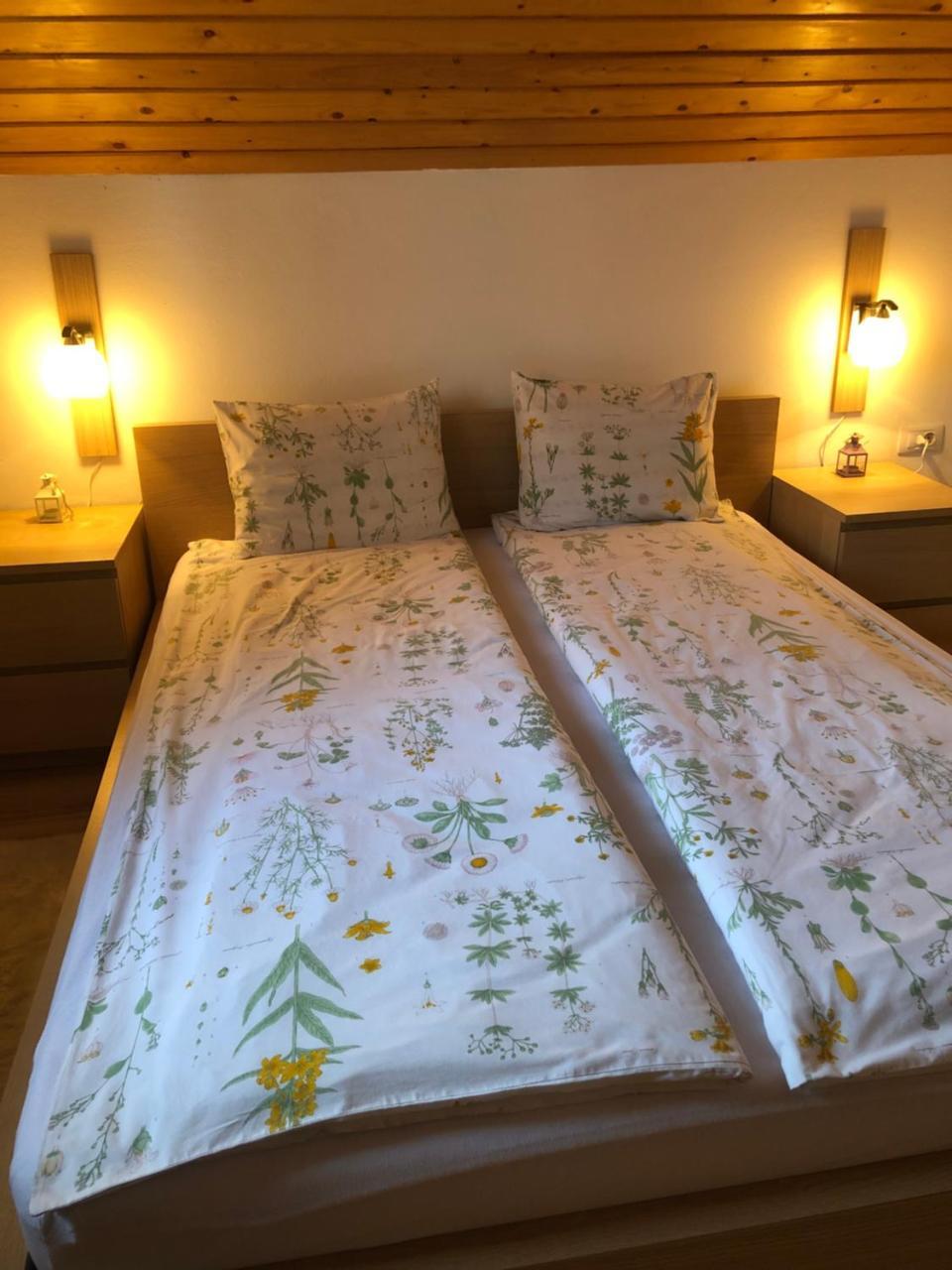 Casa De Vacanta Mogosa Baia Sprie Zewnętrze zdjęcie