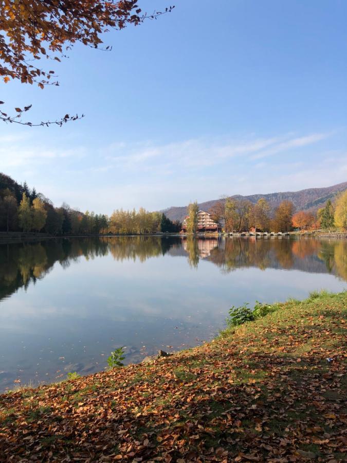 Casa De Vacanta Mogosa Baia Sprie Zewnętrze zdjęcie