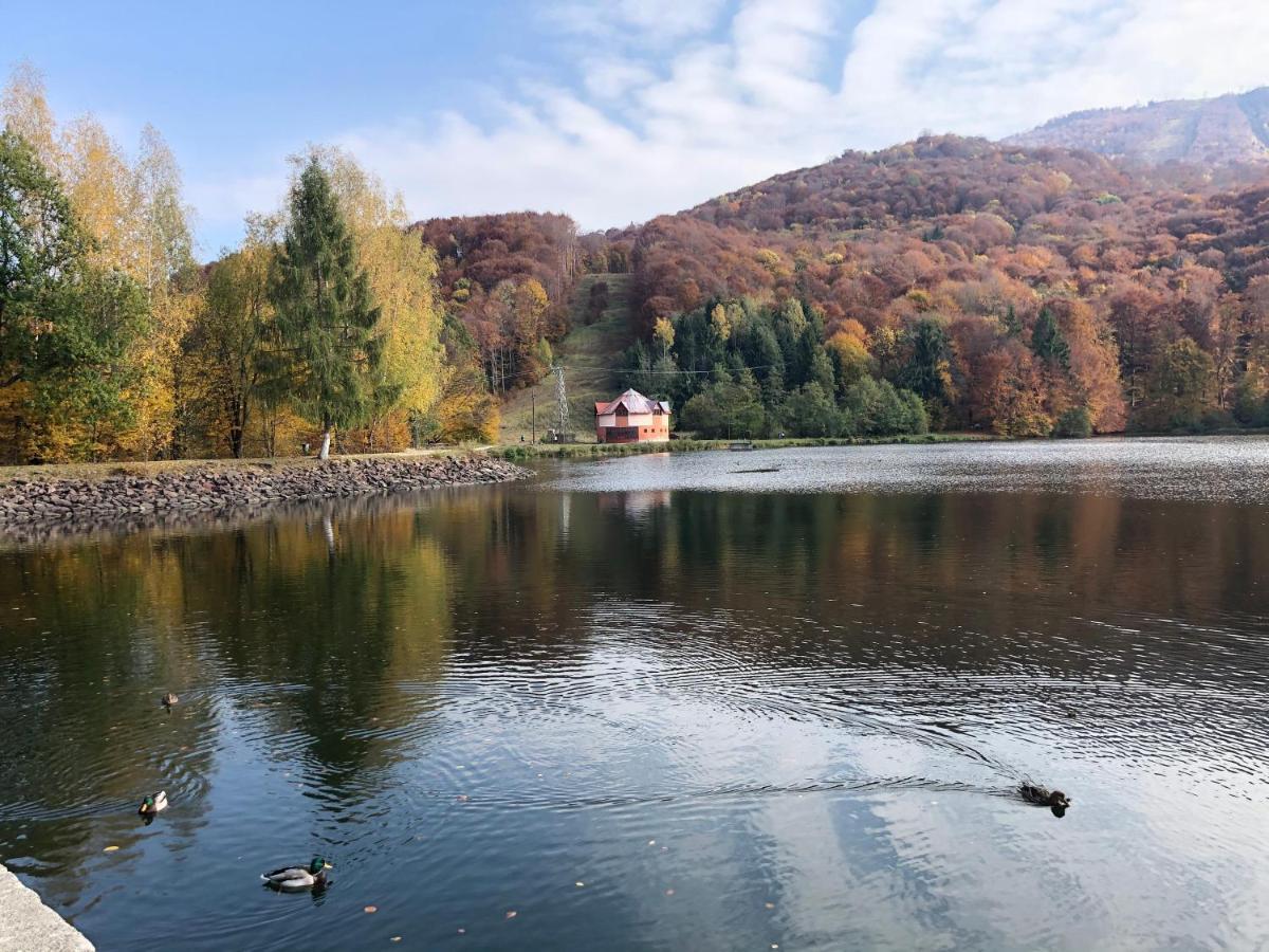 Casa De Vacanta Mogosa Baia Sprie Zewnętrze zdjęcie